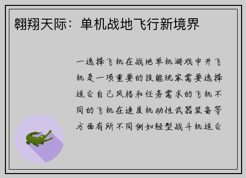 翱翔天际：单机战地飞行新境界